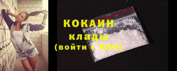 шишки Киренск
