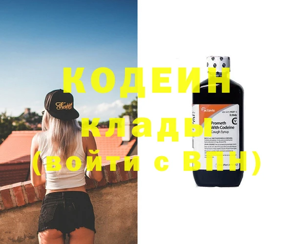 шишки Киренск