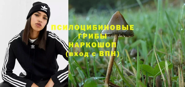 шишки Киренск