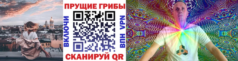 Галлюциногенные грибы Psilocybine cubensis  Купить закладки  Себеж 
